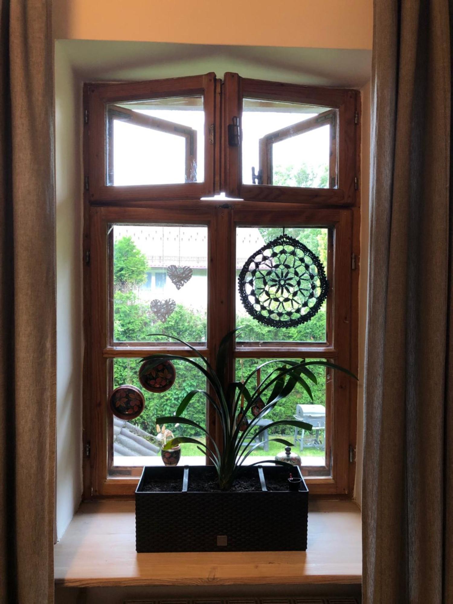 Homestay Halicz